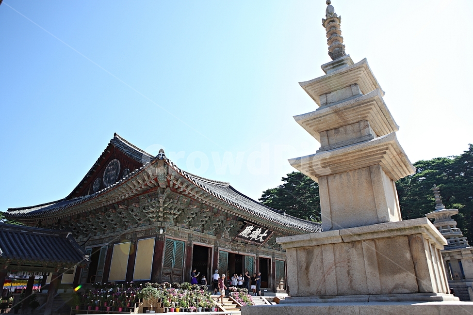 불국사,경주,절,사찰,국보,보물,전통,기와집,집,한옥,여름