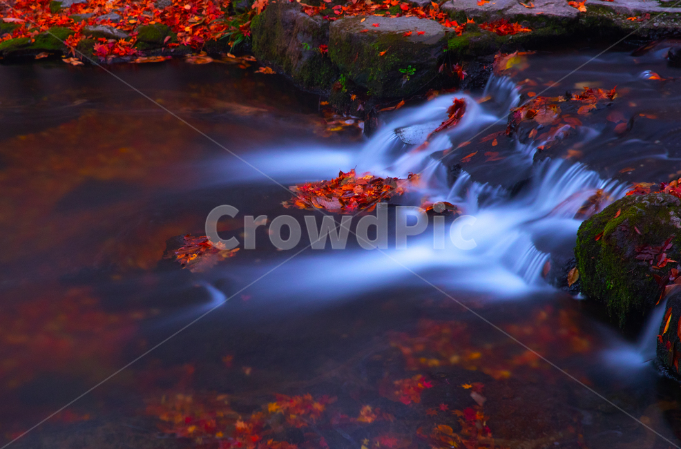 가을,도솔천,계류,단풍,장노출,선운사,가을,계절,fall,autumn,season,자연,풍경,nature,landscape,outdoors,옥외