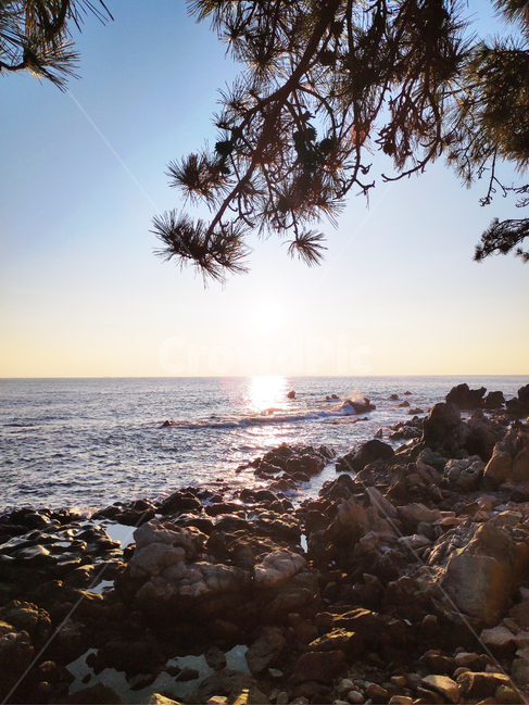 해돋이,일출,일몰,해,sunrise,새해,newyear,sunset,flare,플레어,light,빛,nature,자연,자연,풍경,nature,landscape