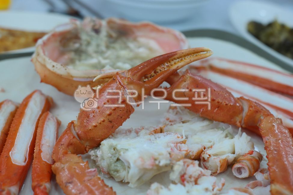 대게, 홍게, 게, 찜, 찌다, 사진,이미지,일러스트,캘리그라피 - 횽횽작가