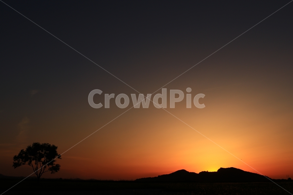 일몰,수섬,삘기꽃,삘기,화성,해넘이,노을,sunrise,역광,자연,풍경,nature,landscape,실루엣,그림자,silhouette,shadow,outdoors,옥외,sky,하늘,dawn,새벽,red sky,붉은 하늘,dusk,황혼,sunset