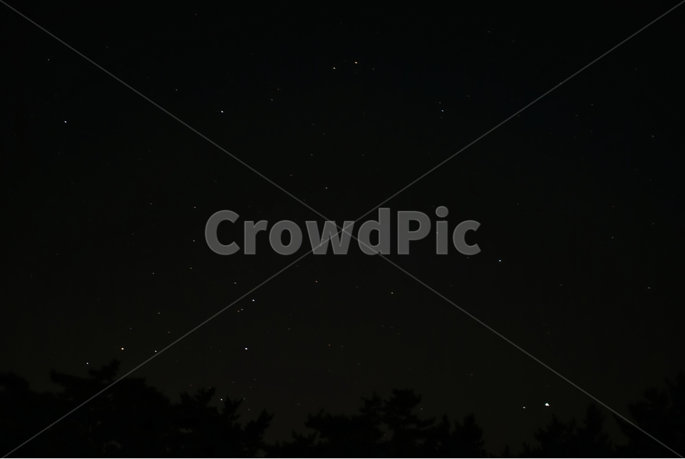 하늘,별,별빛,나무,어둠,밤,야경,밤,풍경,nightscape,night,landscape,nature,자연,outdoors,옥외,outer space,대기권 밖,universe,우주,astronomy,천문학,starry sky,별이 빛나는 하늘