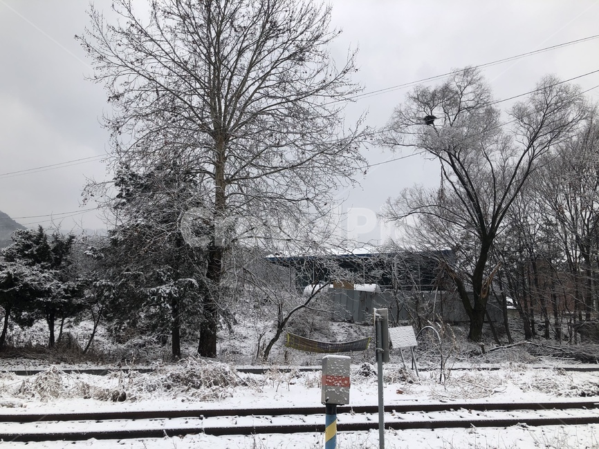 겨울,눈,자연,하얀색,기차길,겨울,계절,winter,season
