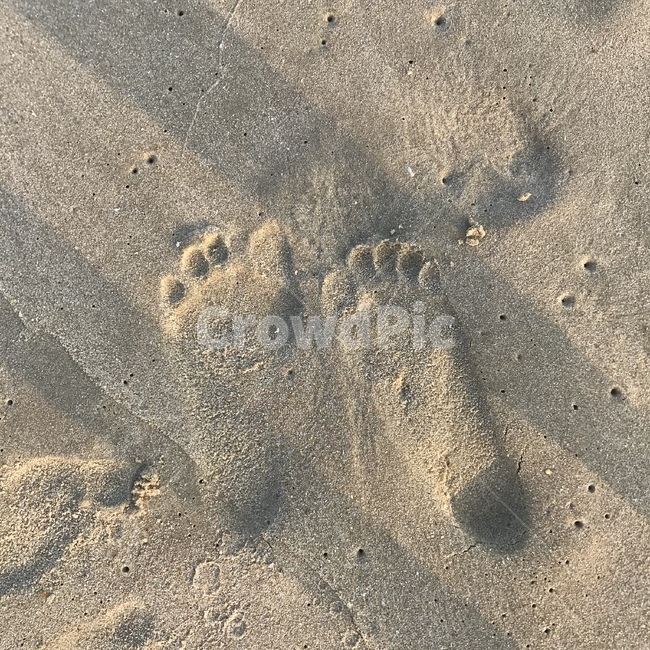 파도,바다,여름,발자국,모래,해변,바다,beach,sea
