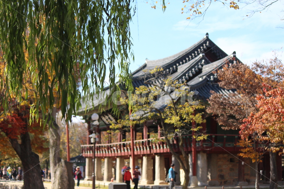 남원,광한루,가을,하늘,광한루원,가을,계절,fall,autumn,season,architecture,건축물,building,건물,temple,신전
