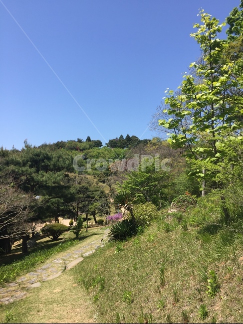 나무,나뭇잎,봄,하늘,구름,tree,leafs,nature