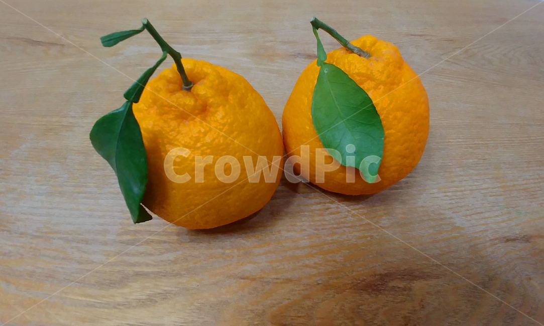 한라봉,제주도,과일,감귤,과실,음식,식재료,요리,food,cook,meal,dishes,food reserves,과일,열매,fruit