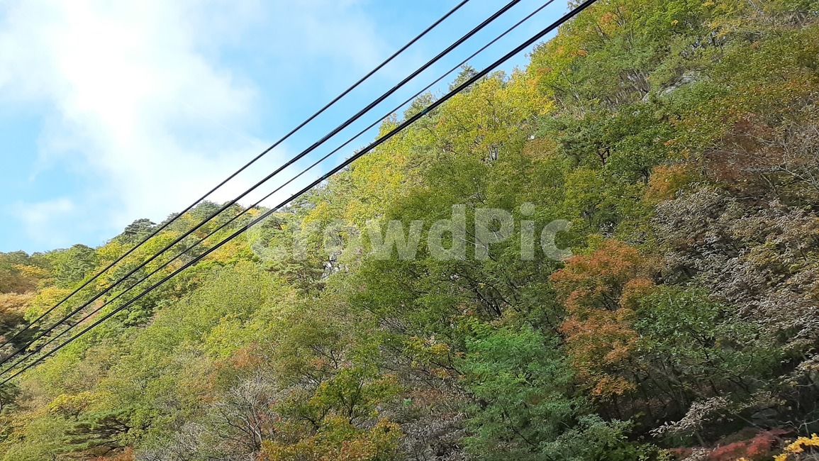 가을풍경,단풍,산행,나무,하늘,숲,풍경,자연,tree