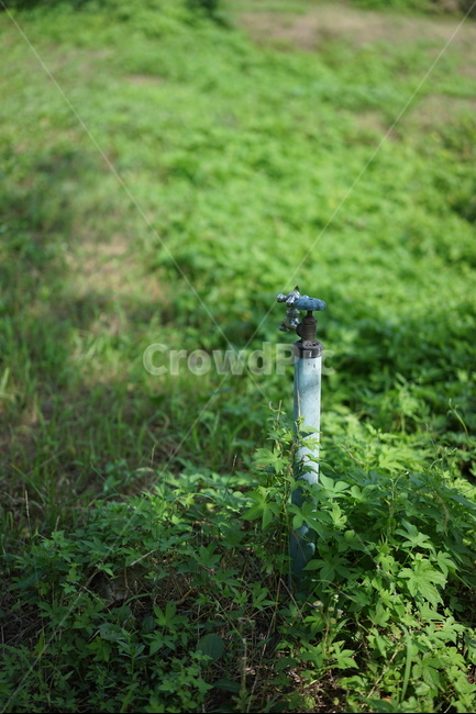 수도꼭지,정원,수도,물,여름,절약,절수,더위,여름,계절,summer,season