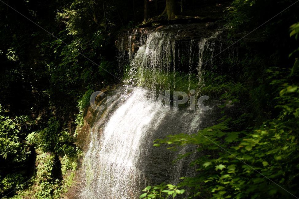 폭포,자연,물,여름,water,자연,풍경,nature,landscape