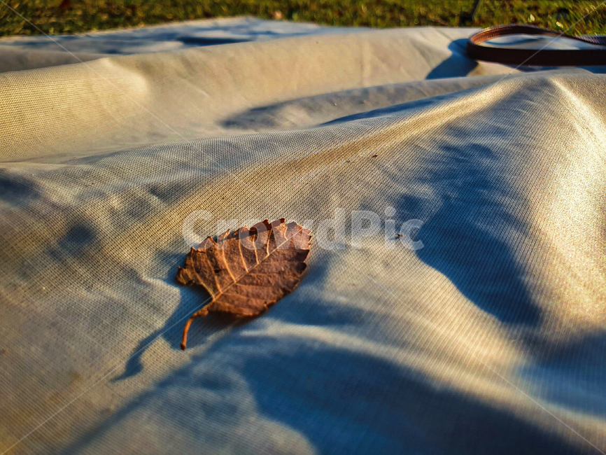 soil,흙,nature,자연,sand,모래,outdoors,옥외