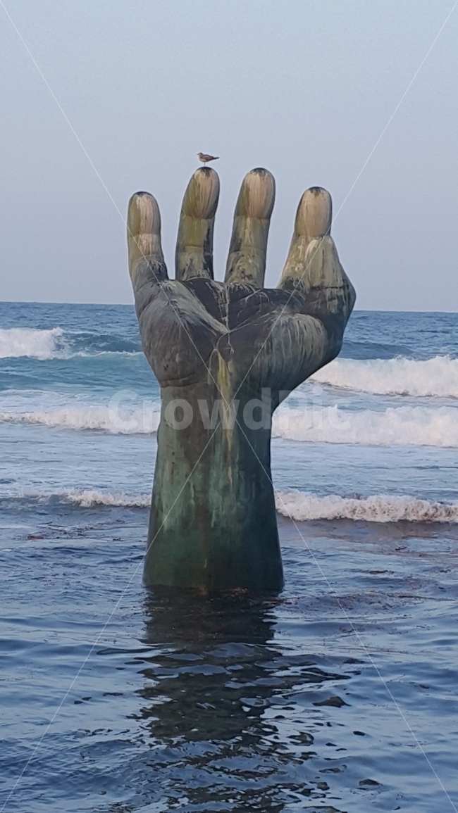 호미곶,손,갈매기,바다,조각,포항,손바닥,파도,세월,여행,랜드마크,landmark,travel,조각상,동상,석상,조형물,statue,bronze statue,stone statue