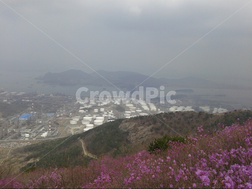 여수,영취산,이교관,여수공단,진달래,자연,풍경,nature,landscape,한국자연풍경,한국자연경관,korea nature landscape,경치,outdoors,옥외,scenery,aerial view,조감도