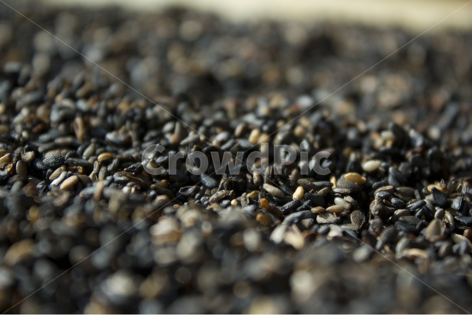 closeup,dry,dummy,food,grain,macro,meal,natural,nature,organic,plant,seed,seeds,sesame,sesameseed,sesameseeds,깨,참깨,곡식,곡류,음식,음식재료,식재료,식물,씨앗,씨,말린,말리는,건조,자연,클로즈업,깨소금,농작물,농촌,농사,검정,블랙,검은색,black,검은깨,아웃포커스,포커스아웃,블러,음식,식재료,요리,food,cook,meal,dishes,food reserves,곡류,곡식,cereals