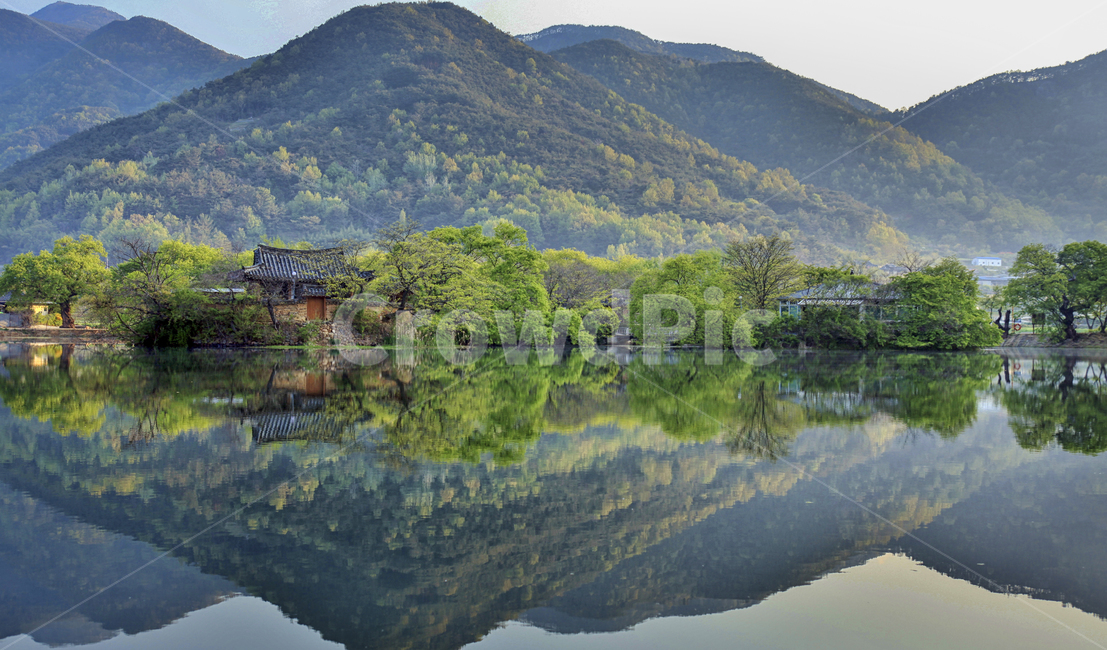 밀양,위양지,자연,봄,풍경,자연,풍경,nature,landscape,한국자연풍경,한국자연경관,korea nature landscape