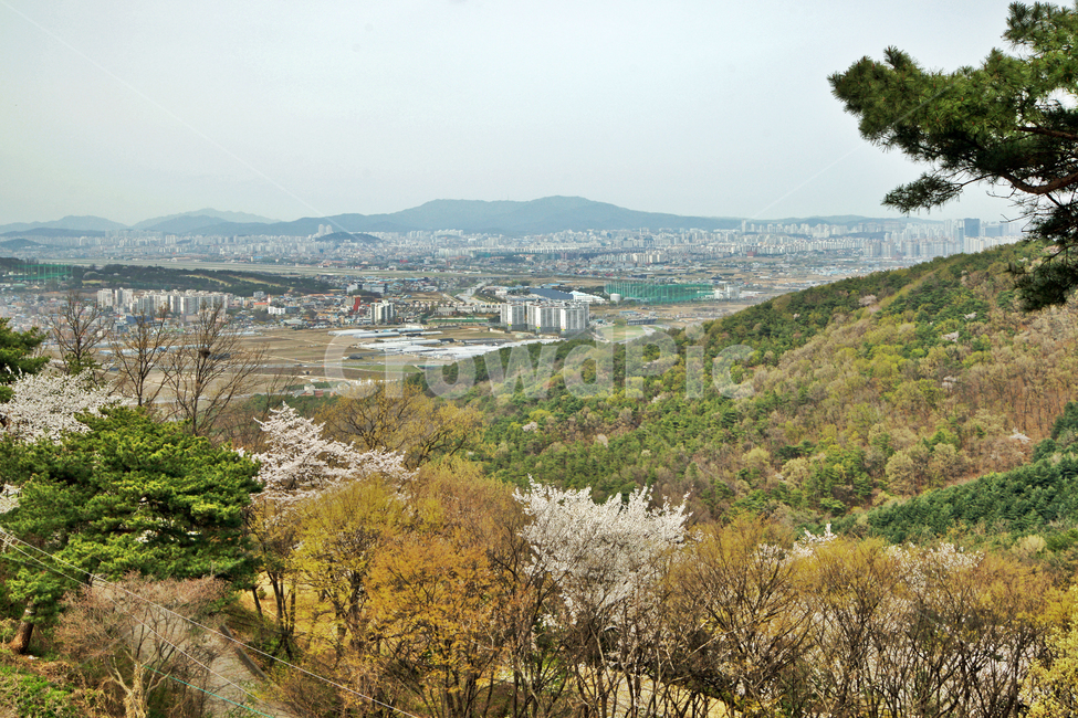 toxic acidity,spring,Osan,General Kwon Yul,nature,season,Sema land,Three Kingdoms Period