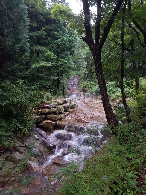 계곡,여름계곡,계곡풍경,여름,산,summer,valley,mountain,자연,풍경,nature,landscape,water,물,outdoors,옥외,stream,흐름,creek,작은 만