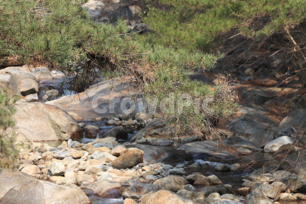계곡,화엄사계곡,지리산,화엄사,폭포,자연,풍경,nature,landscape,water,물,outdoors,옥외,stream,흐름,creek,작은 만