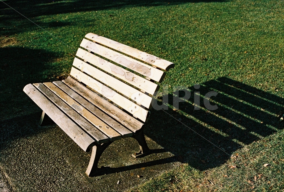 공원,필름카메라,잔디밭,벤치,햇살,휴식,힐링,rest,relaxation,healing,감성,sensible,feeling