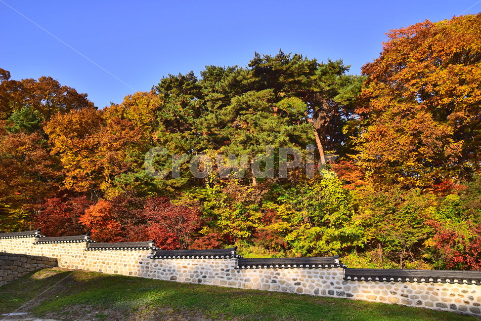 가을,남한산성,세계문화유산,유네스코,행궁,unesco,유적지,조선시대,옛건축물,복원,가을풍경,가을배경,가을분위기,가을서정,시즌,계절,season,fall,autumn,background,architecture,건축물,building,건물,야외,옥외,아웃도어,outdoor,한국자연경관,한국자연풍경,풍경,landscape,돌담,기와지붕,전통양식,석축,칼라풀,컬러풀,colorful,돌담길,tree,나무,plant,식물,가을,계절,fall,autumn,season