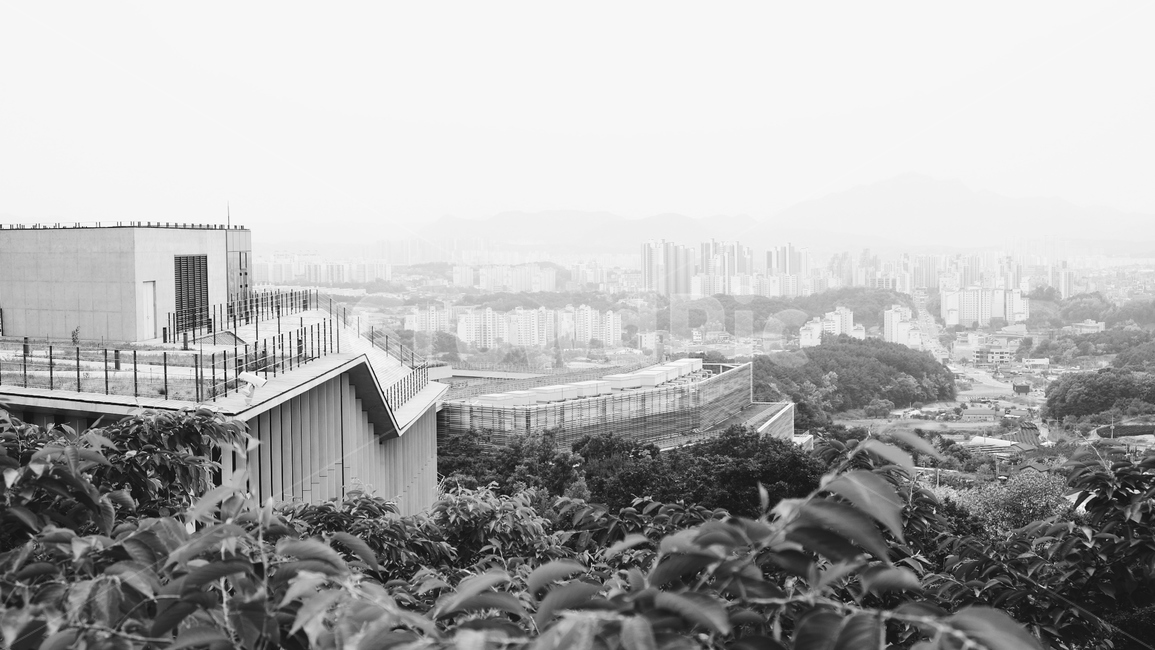 자연,옥외,전망대,하늘,흑백,흑백,모노톤,monochrome,black and white