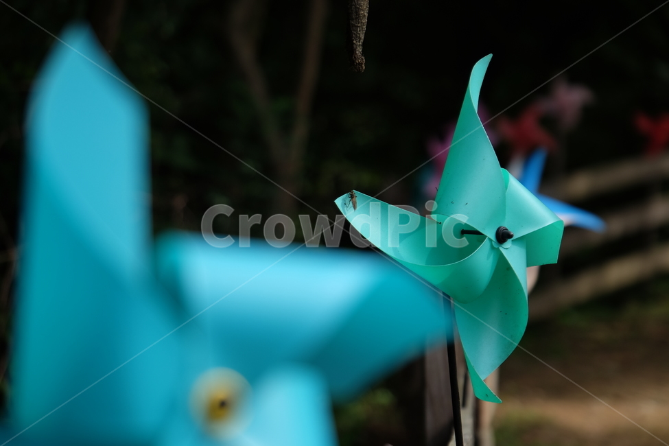 바람개비,자연,사물,청록색,바람,울타리,목장,nature,wind,blue,pinwheel,사물,물건,오브젝트,thing,object,matter