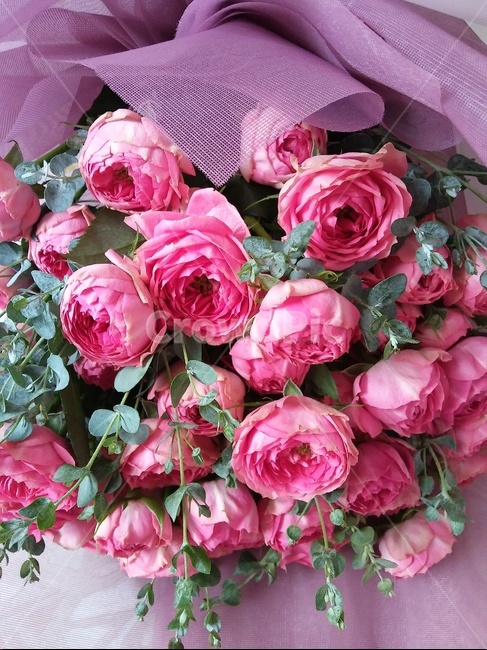 꽃,꽃다발,선물,잎,포장,꽃,flower,기념일,축하,anniversary,congratulation,celebrate,celebration