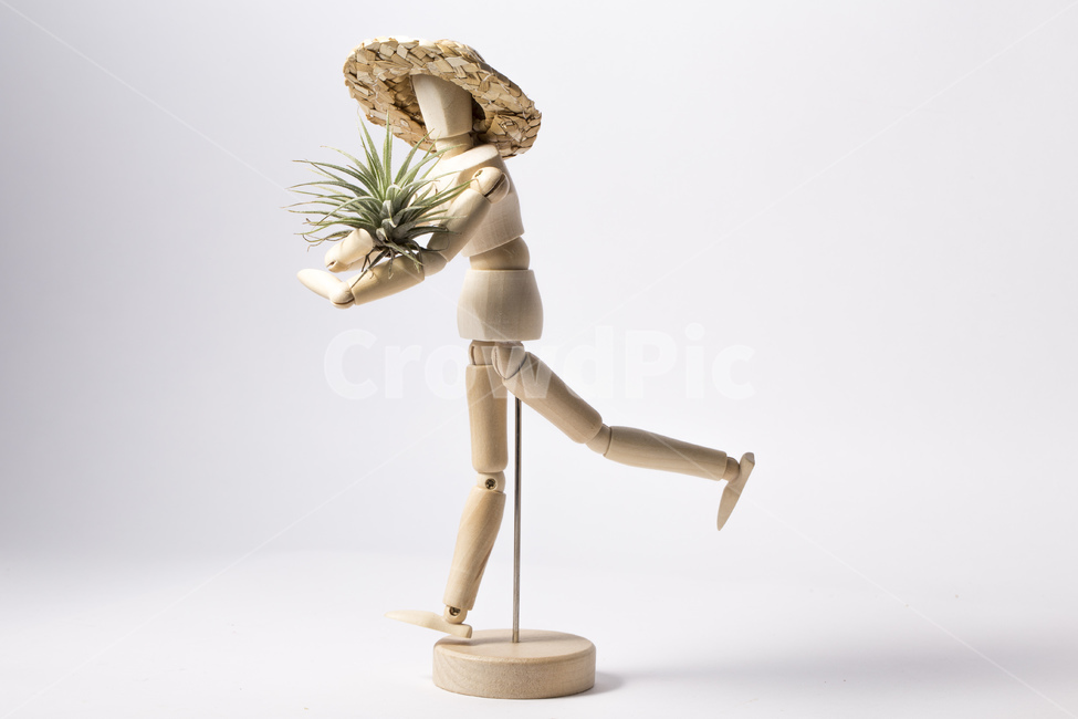 인형,관절,관절인형,목각인형,목각,나무인형,틸란드시아,이오난사,식물,공기정화,밀짚모자,모자