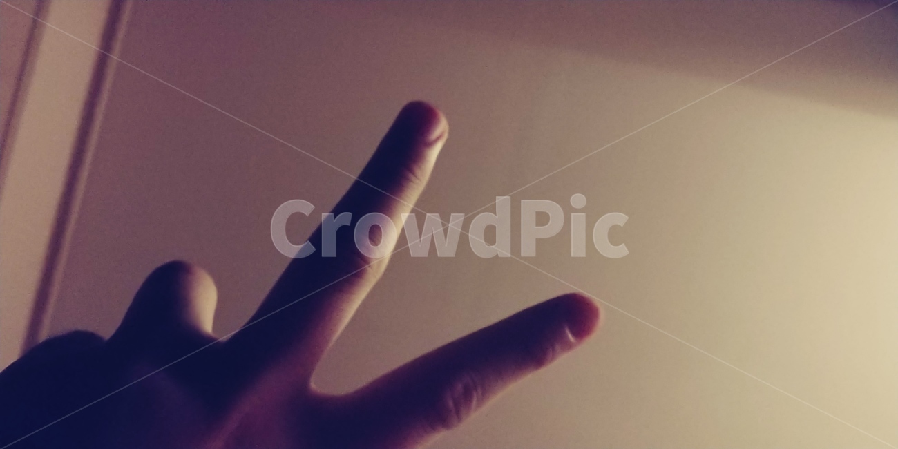 손가락,천장,사람손,손바닥,finger,ceiling,hand,palm,사람,인물,인간,human,person,신체일부,몸,body