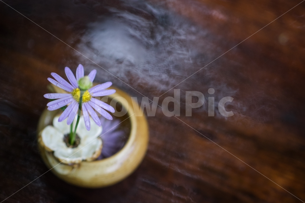 꽃,보라,풍경,감성,비,보라색,받침,테이블,갈색,식물,자연,plants,nature,꽃,flower,감성,sensible,feeling