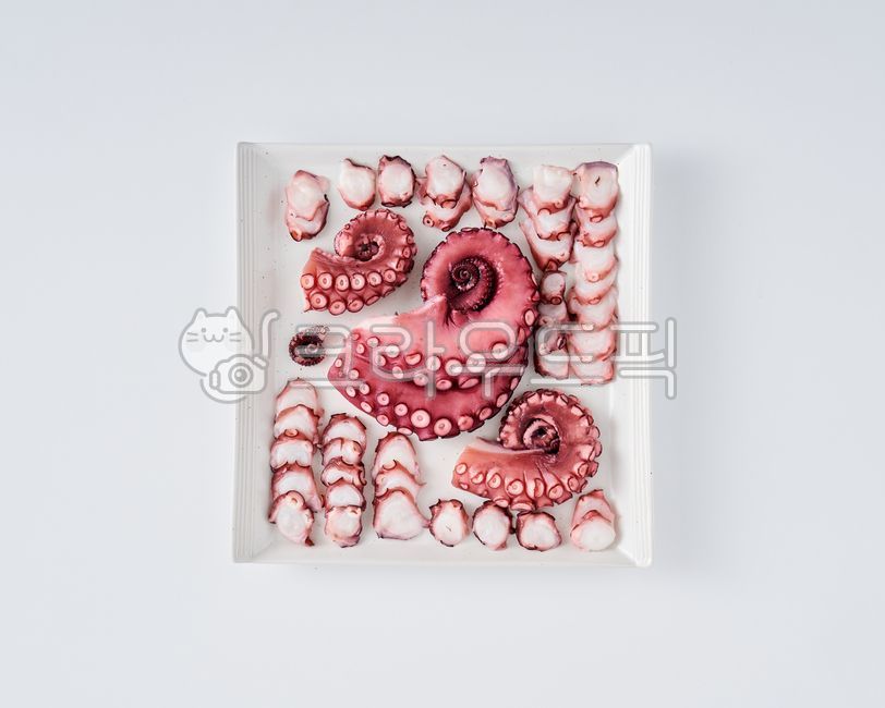 데친문어,삶은문어,돌문어,문어,문어회,피문어,음식,식재료,요리,food,cook,meal,dishes,food reserves