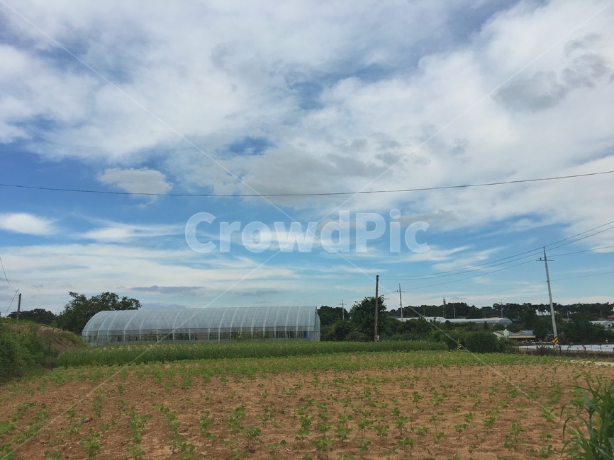 야외,농촌,하늘,시골,비닐하우스,시골,마을,풍경,landscape,country,rural,town,산업,industry,industrial,농업,농사,agriculture,farming,farming industry