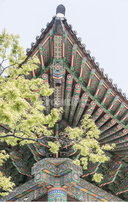 처마,추녀,단청,문양,무늬,패턴,사찰,건축,한국전통,한국문화,korean traditional,korean culture,건축물,건물외관,exterior,building,structure,architecture,construction