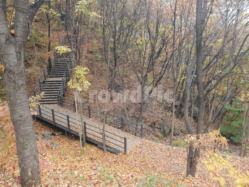 가을,산,단풍,낙엽,산책로,fall,autumn,mountain,autumncolors,fallfoliages,trail
