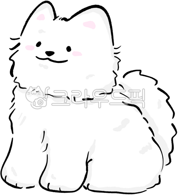강아지,대형견,귀여운,흰색,사모예드,개,반려견,반려동물,애완견,애완동물,강아지카페,애견카페,애견샵