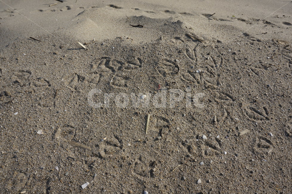 모래,outdoors,sand,nature,자연,발자국,갈매기,갈매기발자국