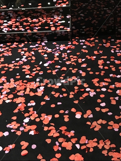 색종이조각,꽃잎,confetti,paper,blossom,꽃,flower,종이,꽃가루