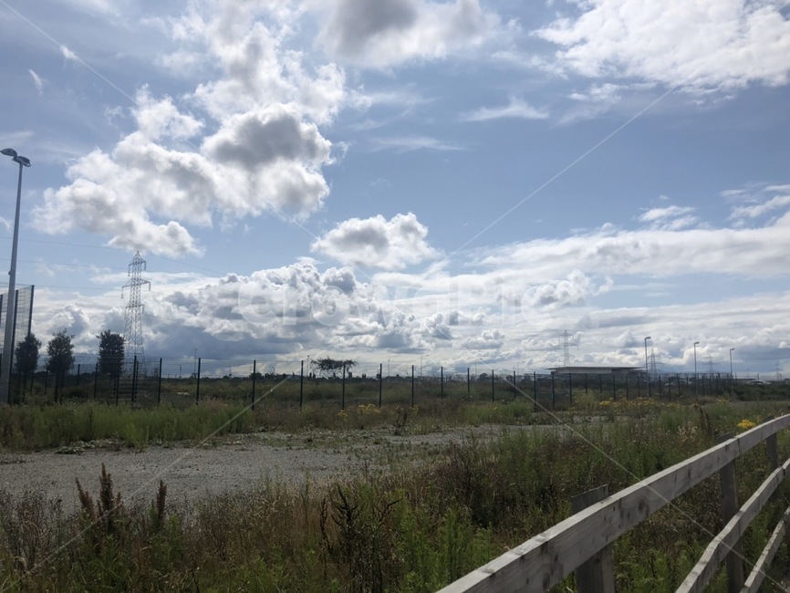 들,들판,나무,grass,plant,tree,field,목초지,잔디,자연,식물,옥외,grassland,outdoors,nature