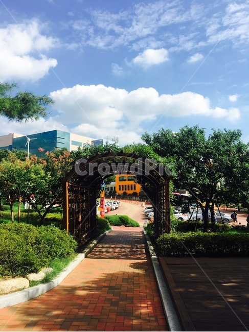 나무,터널,맑은,하늘,정원,garden,outdoors