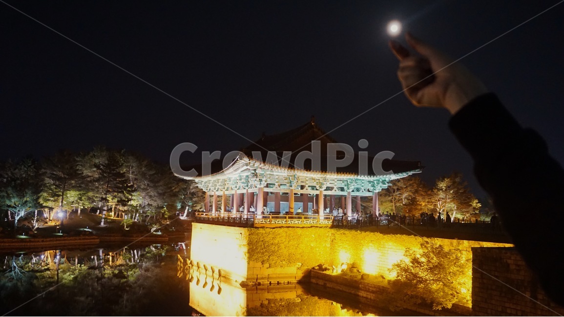 안압지,동궁과월지,야경,달,경주,경주여행,여행,야경여행지,대한민국,호수,연못,저수지,건축물,신라,왕궁,별궁터,역사,유적지,사적지,궁궐터,야경,밤,풍경,nightscape,night,landscape,한국전통,한국문화,korean traditional,korean culture,랜드마크,landmark,tourist attraction,한국랜드마크,한국관광지,한국명소,korea landmark,korea tourist attraction,사람,인물,인간,human,person,신체일부,몸,body,연출,컨셉,콘셉,direction,concept,building,건물,architecture