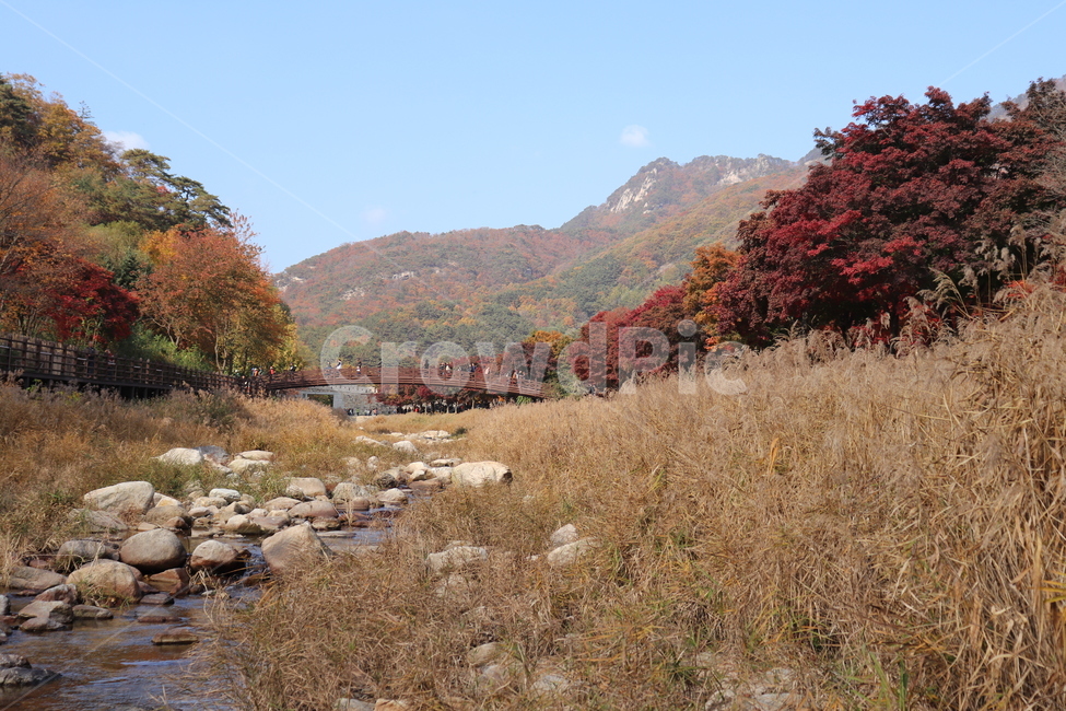 nature,자연,강,풍경,가을
