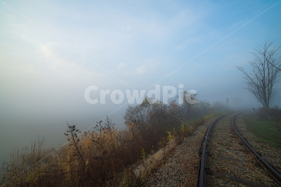 철길,철로,기찻길,안개,나무,가을,새벽,자연,풍경,nature,landscape,rail,레일,train track,railway,철도,transportation,교통