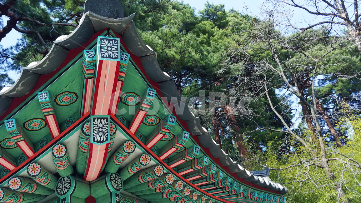 한옥,처마,기와,전통가옥,나무,한국전통,한국문화,문화재,건축물,koreanculture,koreantraditional,한국전통,한국문화,korean traditional,korean culture,건축물,건물외관,exterior,building,structure,architecture,construction