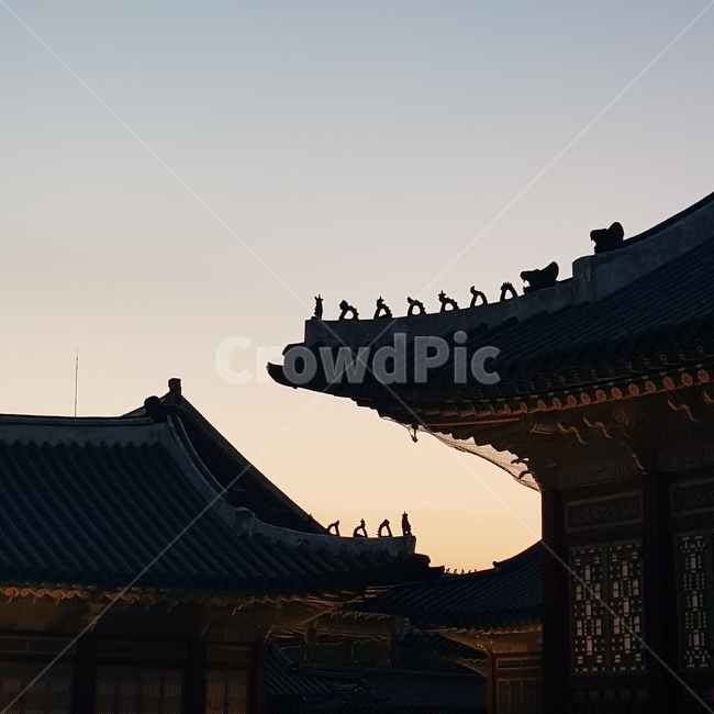 한국,경복궁,gyeongbokgung,야간개장,palace,한국전통,한국문화,korean traditional,korean culture,건축물,건물외관,exterior,building,structure,architecture,construction