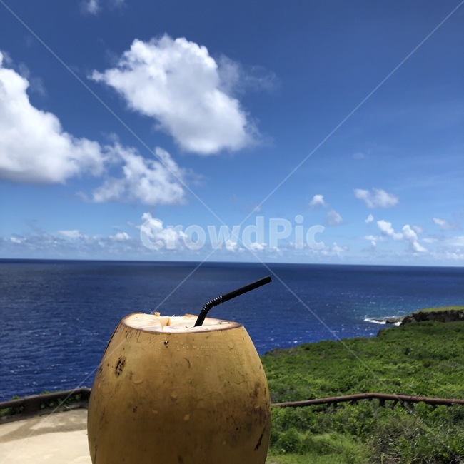 바다,하늘,구름,코코넛,coconut,사이판,휴양지,여름,푸르른,푸른,nature,자연,outdoors,옥외,land,날씨,weather,땅