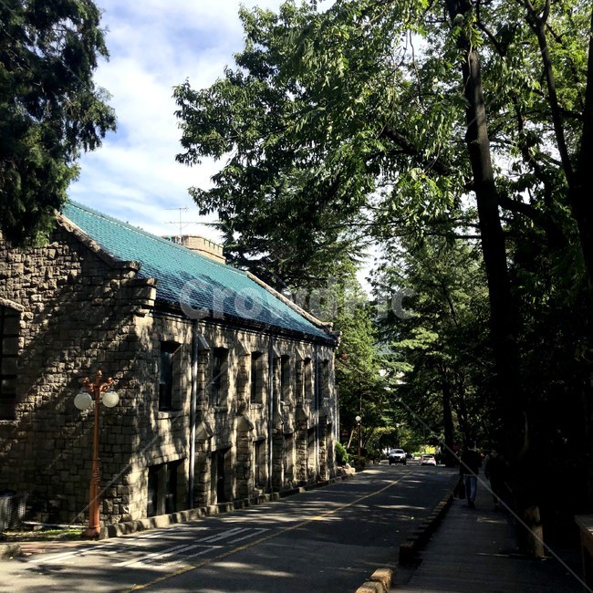 학교,캠퍼스,캠퍼스풍경,산책로,산책