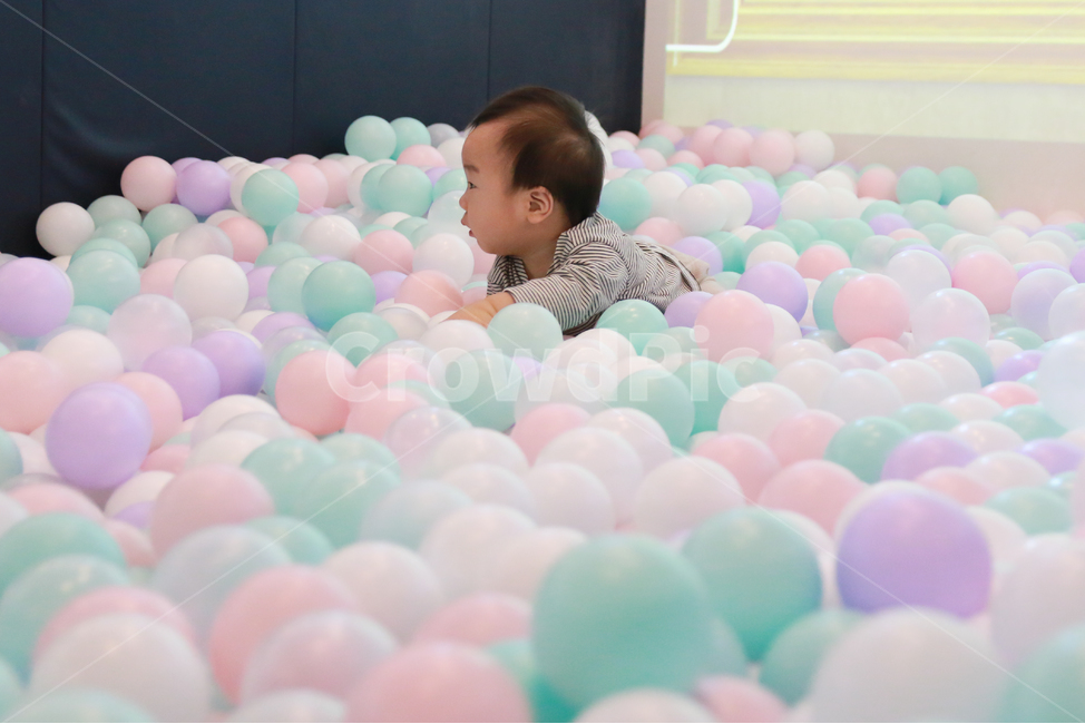 볼풀,아기,남자아이,애기,형형색색,컬러풀,고무공,공,색색의,볼풀공,플라스틱,플라스틱공,놀이기구,볼풀수영장,색깔,색상,재미있는,어린,즐거운,신나는,육아,인물,한명,녹색,보라,볼풀장,장난감,키즈카페,놀이,모델,베이비카페,연보라색,흰색,분홍색,파스텔톤,남자아기,한살,1살,귀여운,사랑스러운,작은,가족,사람,인물,인간,human,person,영유아,아기,애기,아이,infants,baby