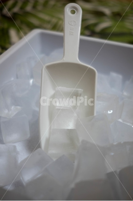 얼음,시원한,냉동,ice,각얼음,차가운,여름,계절,summer,season
