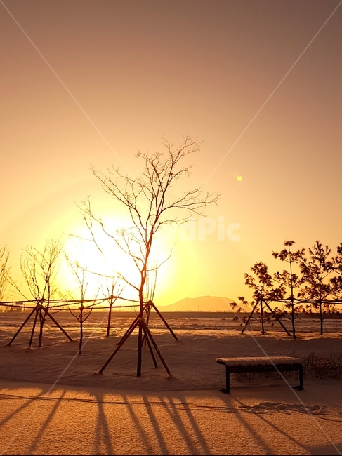 일출,해,풍경,자연,겨울,나무,겨울,계절,winter,season,자연,풍경,nature,landscape,outdoors,옥외,bench,벤치,sky,하늘,dusk,황혼,red sky,붉은 하늘,dawn,새벽,sunset,일몰