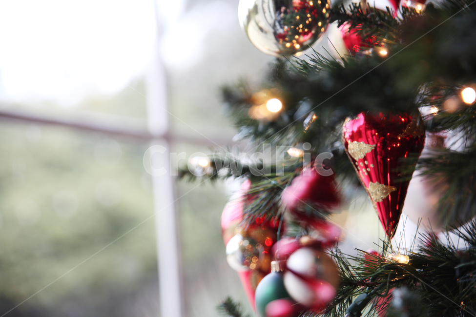 녹색,장식품,작은보케,크리스마스,선물,창가,겨울,메리크리스마스,성탄절,merry christmas